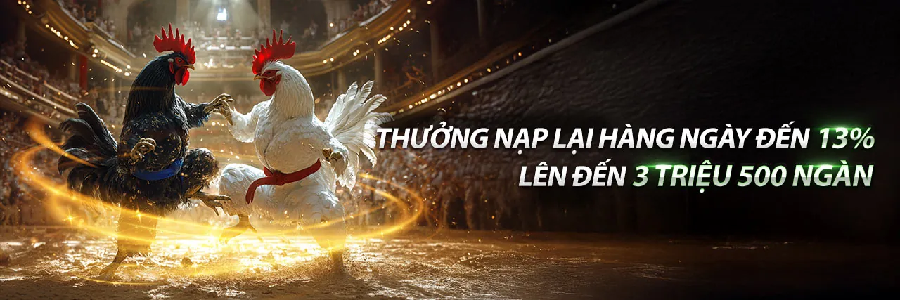 Đá gà trực tuyến zalv888 - Trận đấu kịch tính
